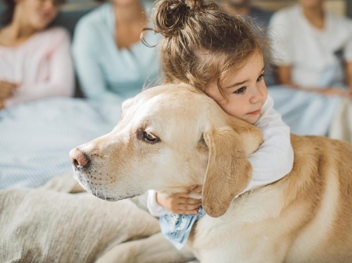 Anjing dan Anak Kecil