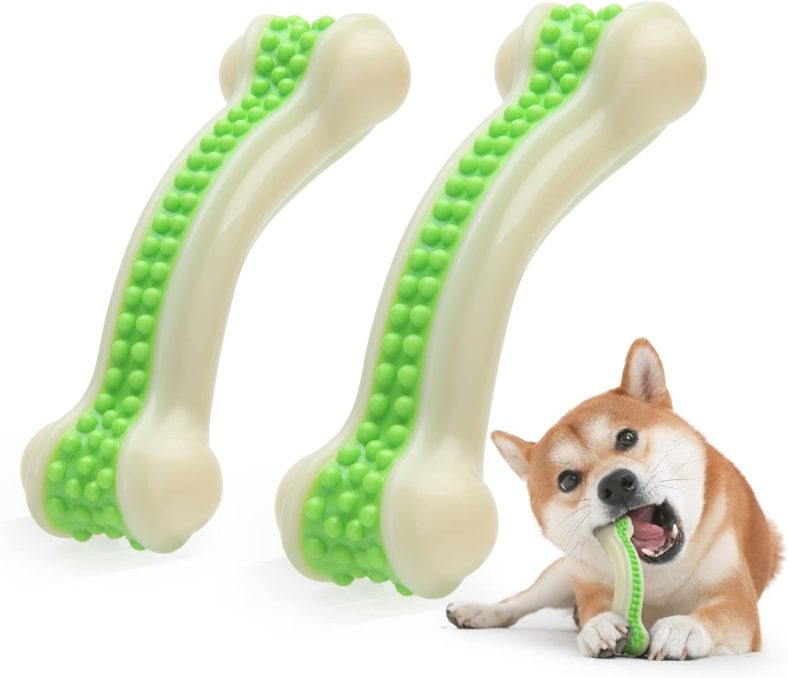 Aksesoris Untuk Anjing